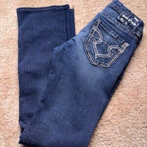 Vintage 27x34 Big Star Jean Size 27XL
